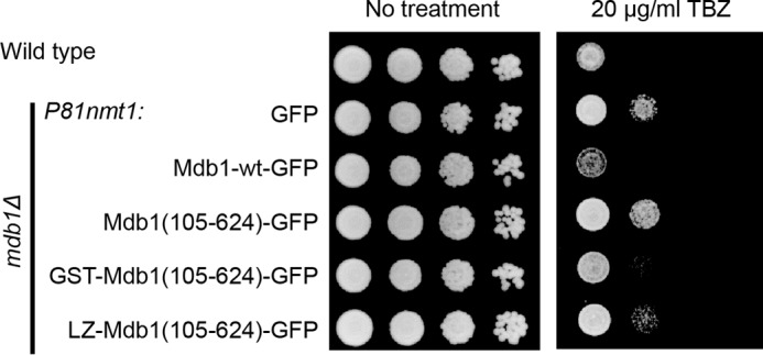 FIGURE 10.