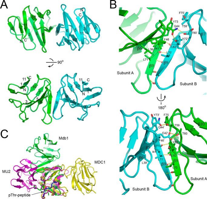 FIGURE 3.