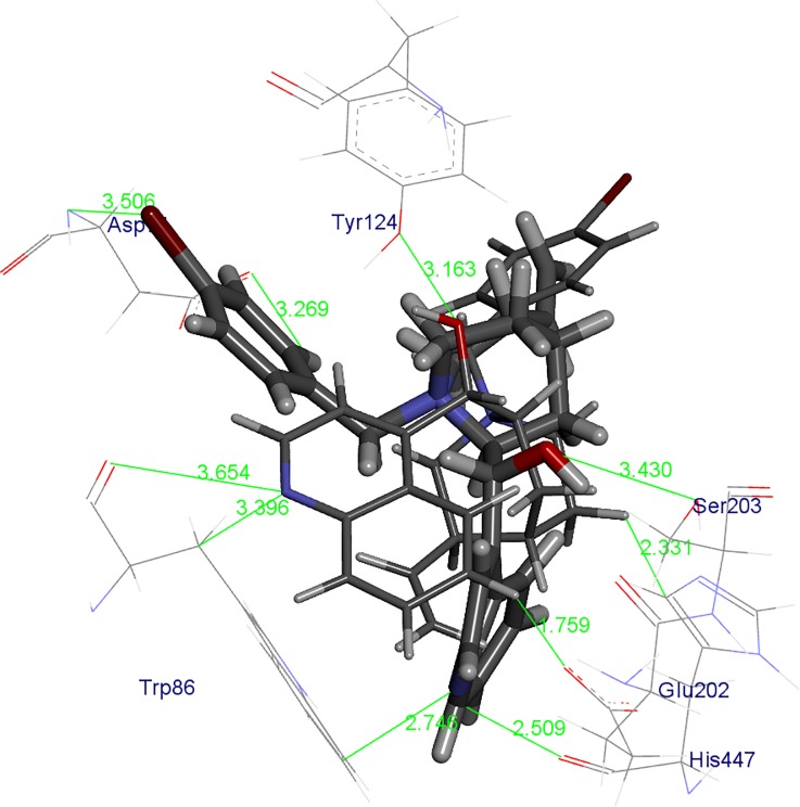 Fig 5