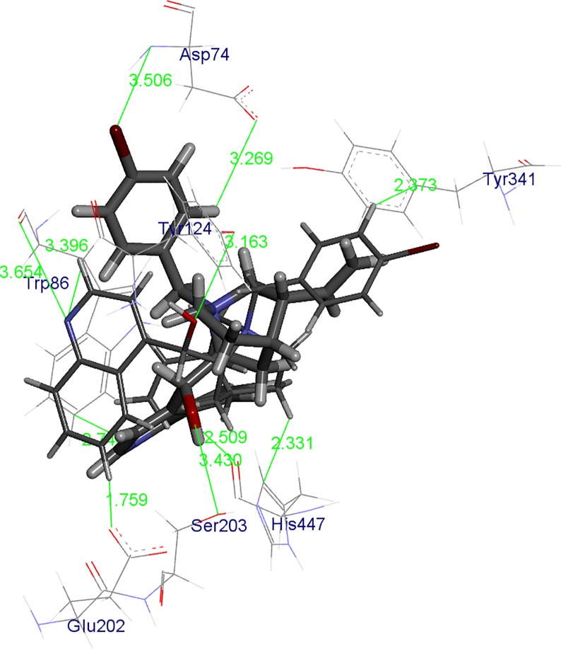 Fig 6