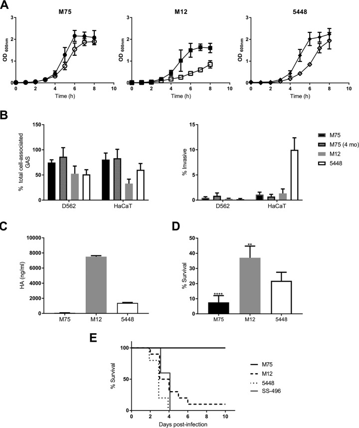 FIG 1