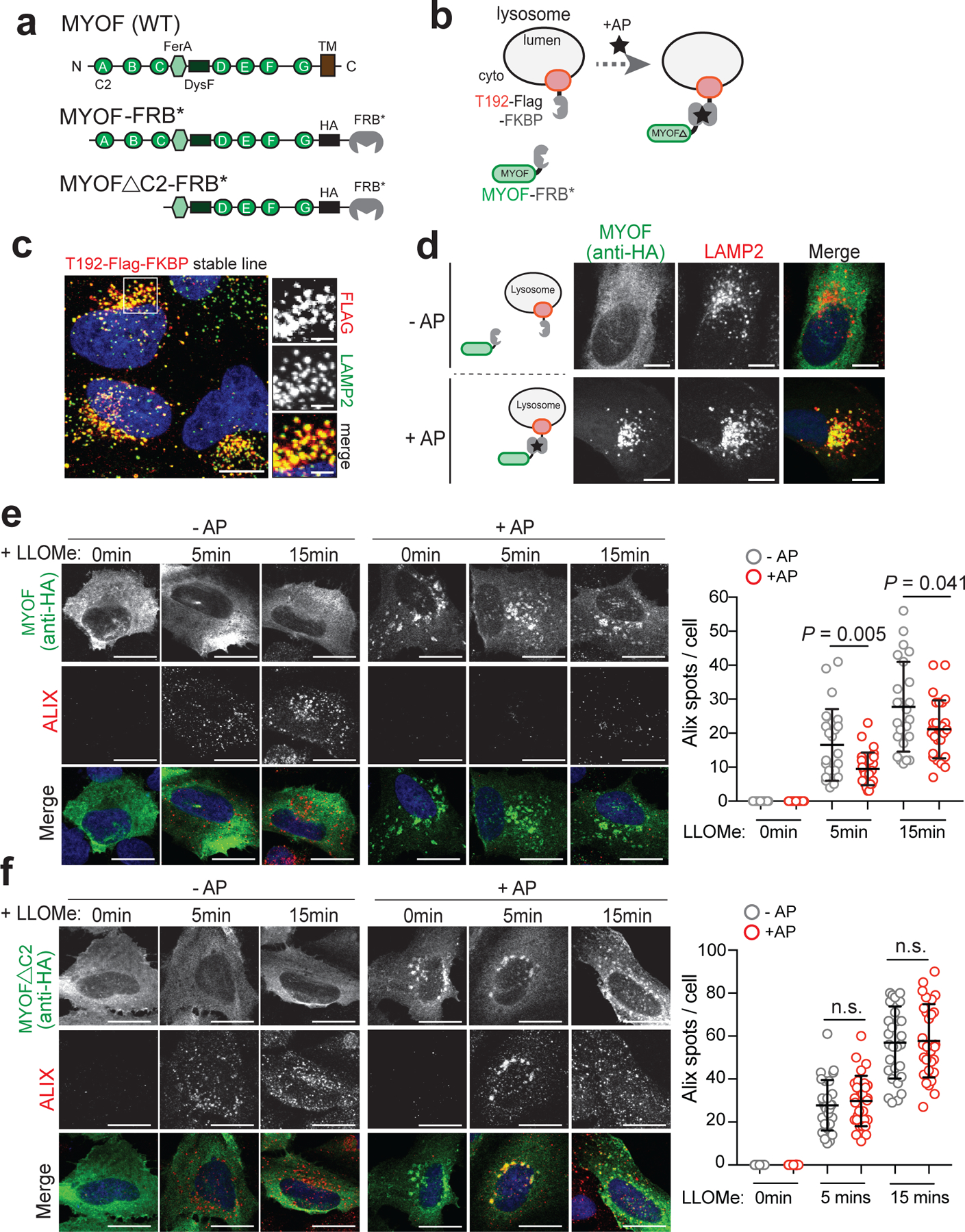 Fig. 4 |