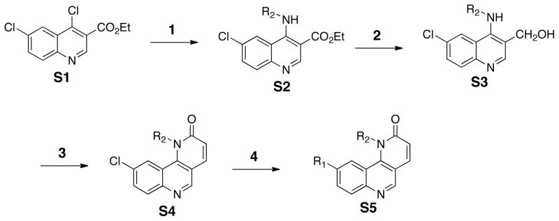 Scheme 2