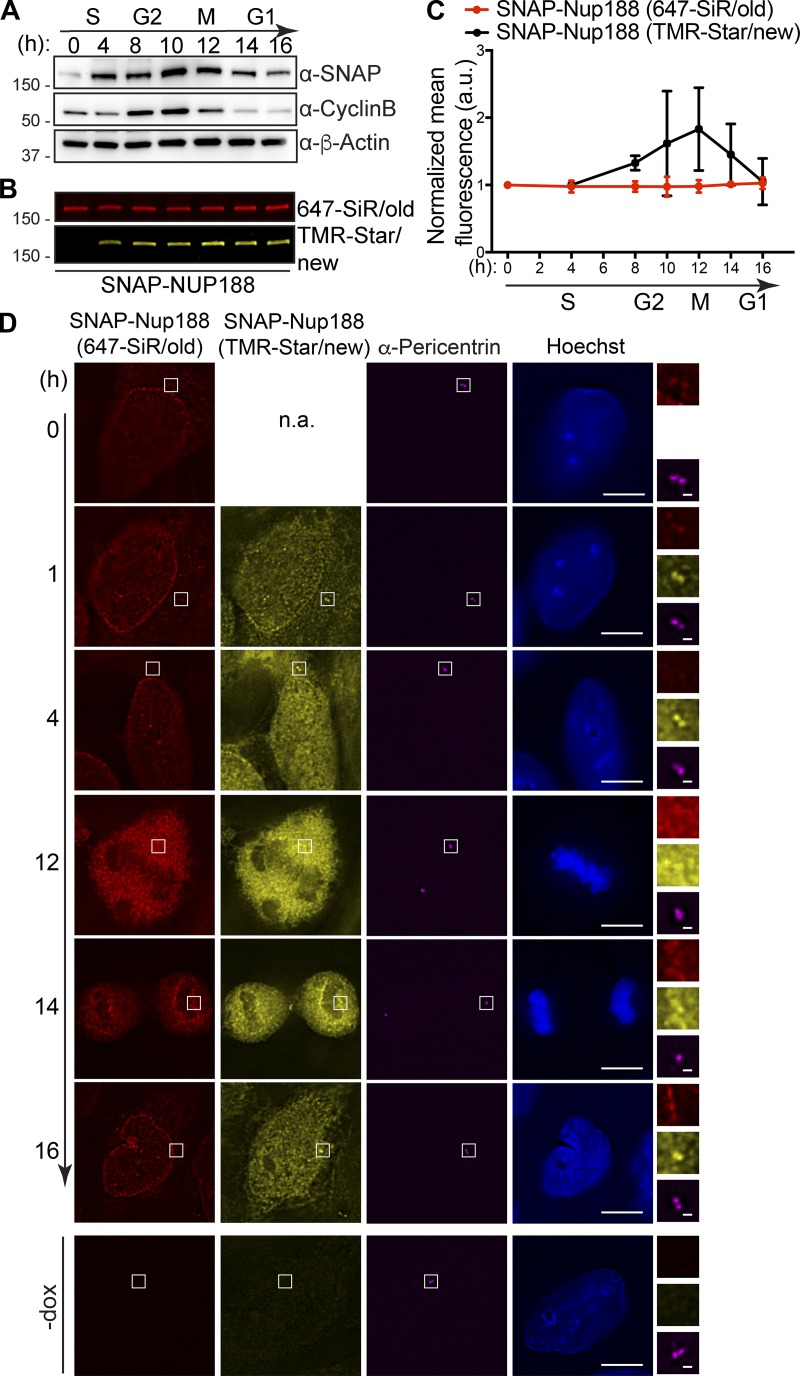 Figure 2.