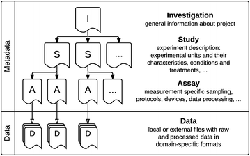 Fig. 1