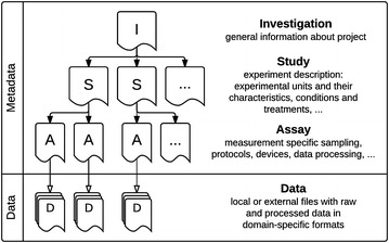 Fig. 1