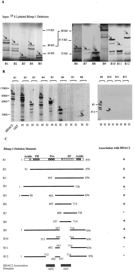 FIG. 5