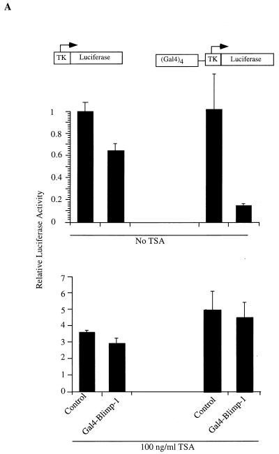 FIG. 7