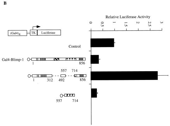 FIG. 7