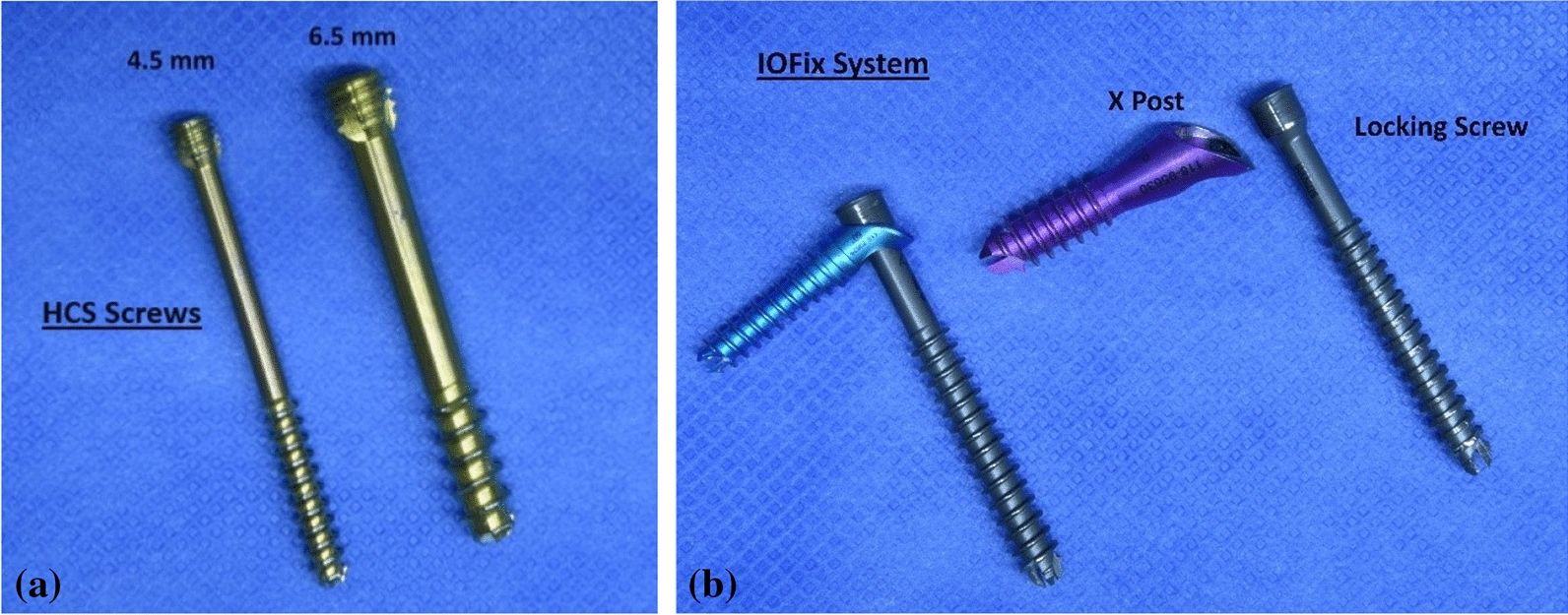 Fig. 1