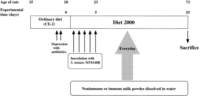 FIG. 1.