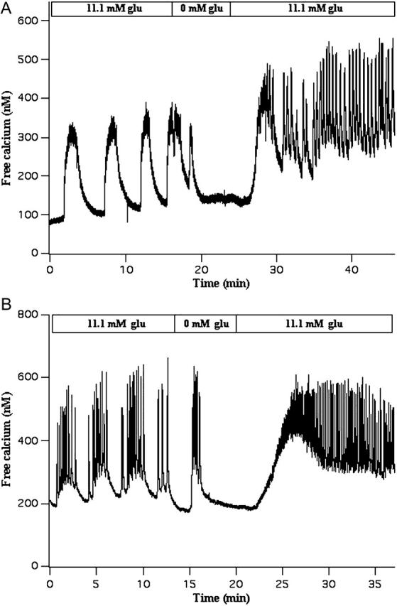 FIGURE 11