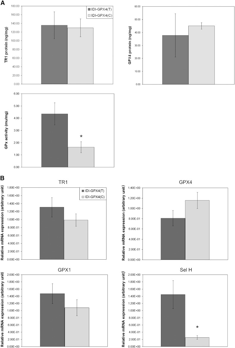 Fig. 2