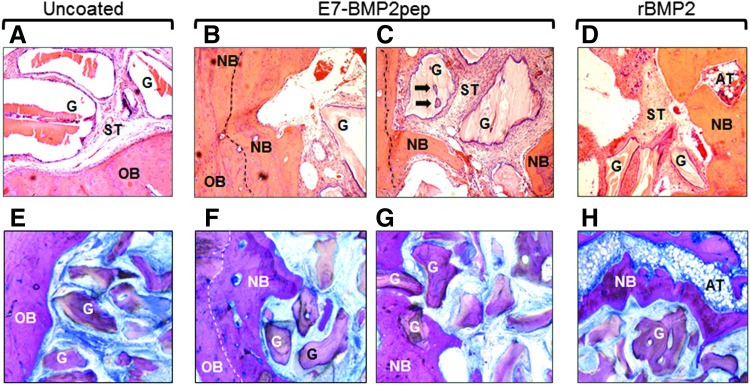 FIG. 8.