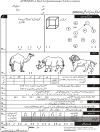 APPENDIX-I