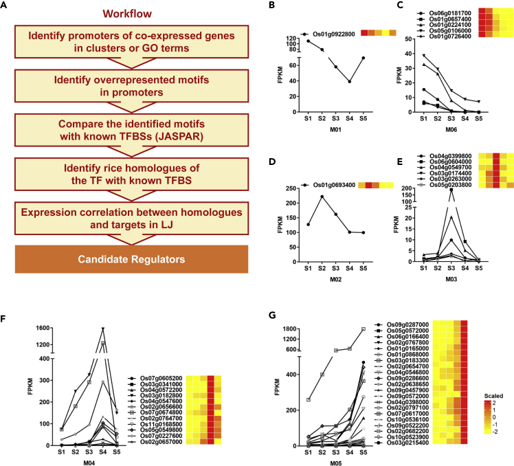 Figure 4