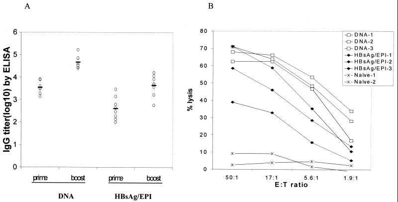 FIG. 6