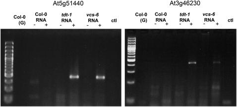 Figure 7.