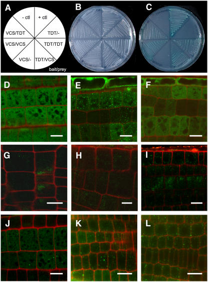 Figure 4.