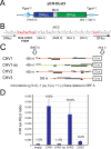 FIG 2