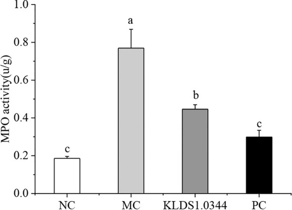 Figure 4