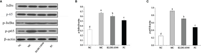 Figure 6