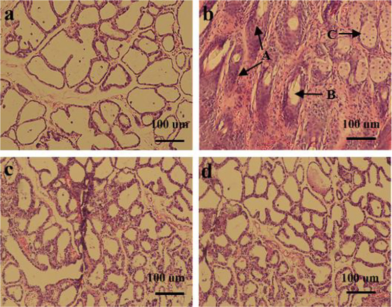 Figure 3