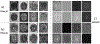 Fig. 9.