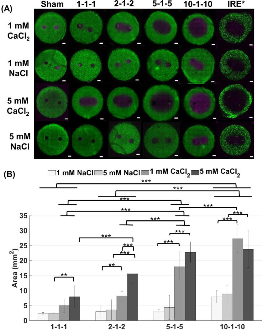 Figure 2: