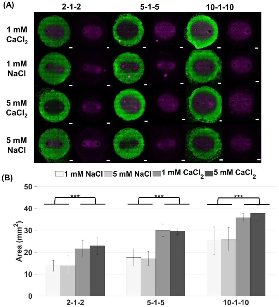 Figure 3: