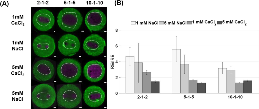 Figure 4: