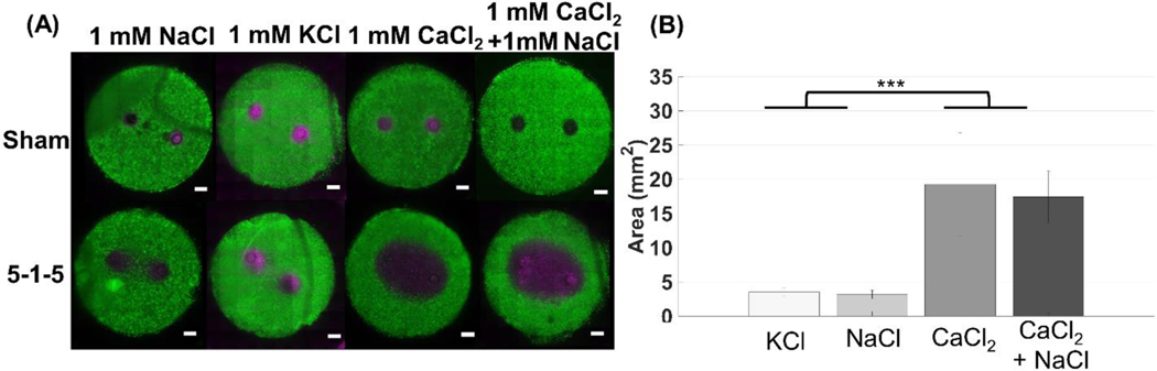 Figure 5: