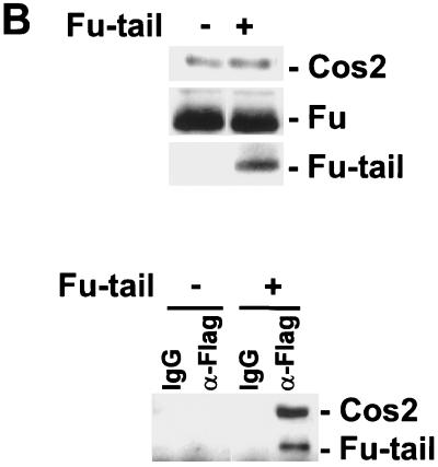 FIG. 5.