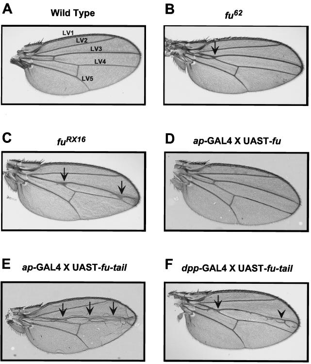 FIG. 6.