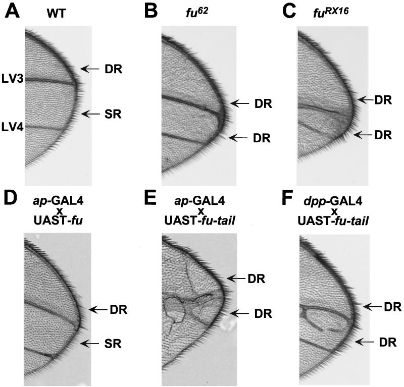 FIG. 7.