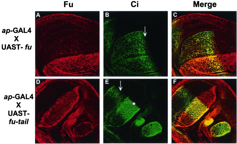 FIG. 8.