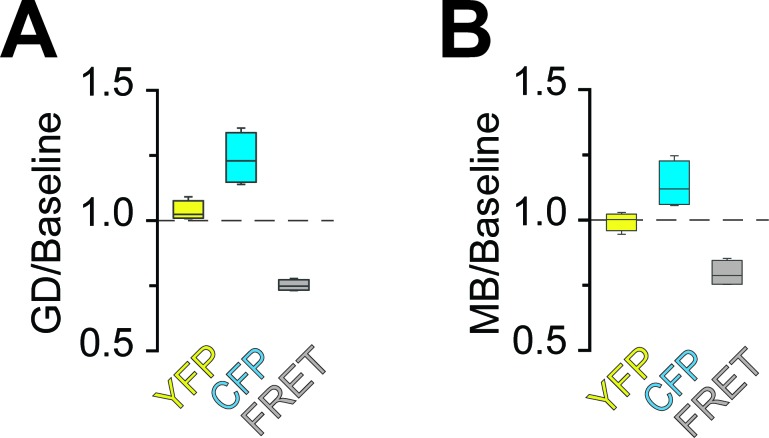 Figure 3—figure supplement 2.