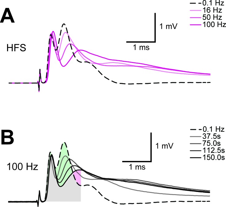 Figure 4—figure supplement 1.