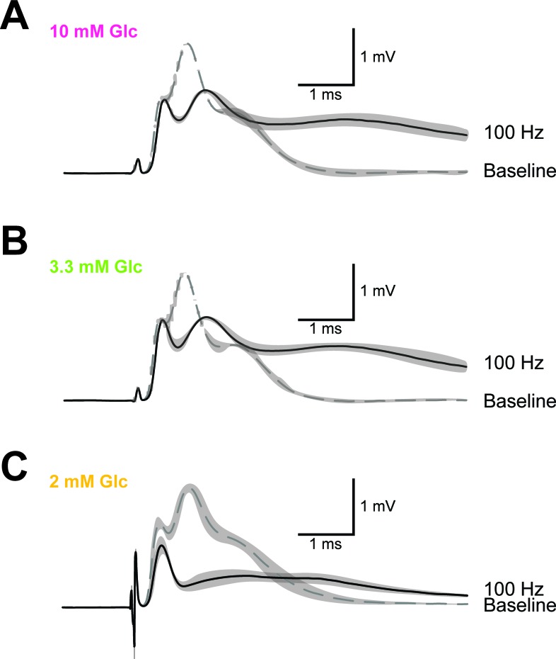 Figure 4—figure supplement 4.