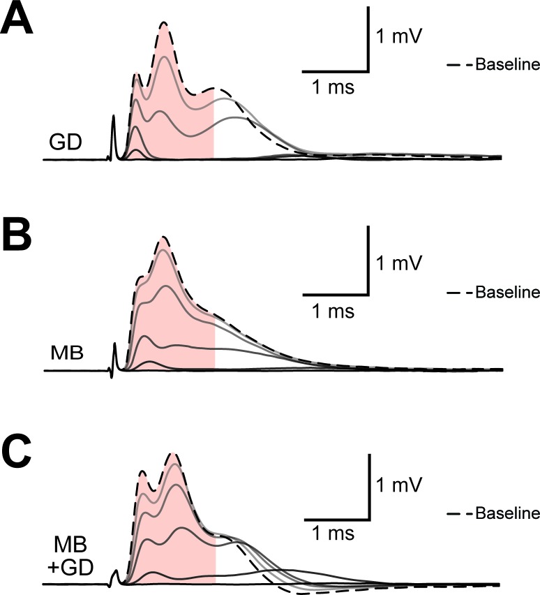 Figure 3—figure supplement 1.