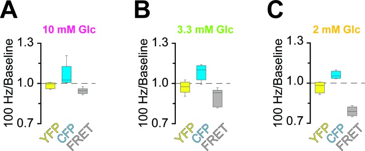 Figure 4—figure supplement 5.