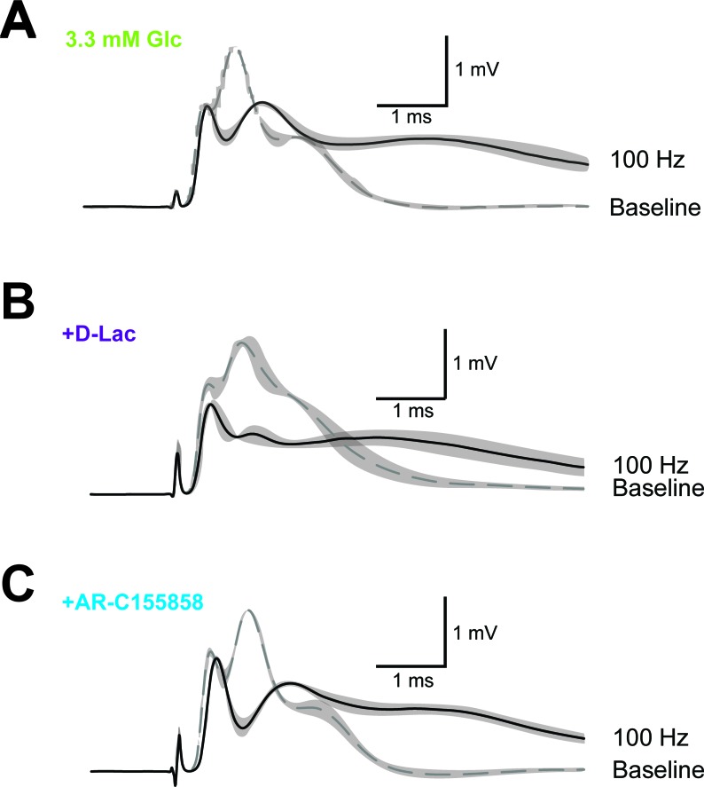 Figure 5—figure supplement 2.