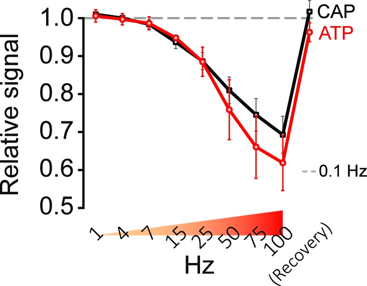 Figure 4—figure supplement 2.