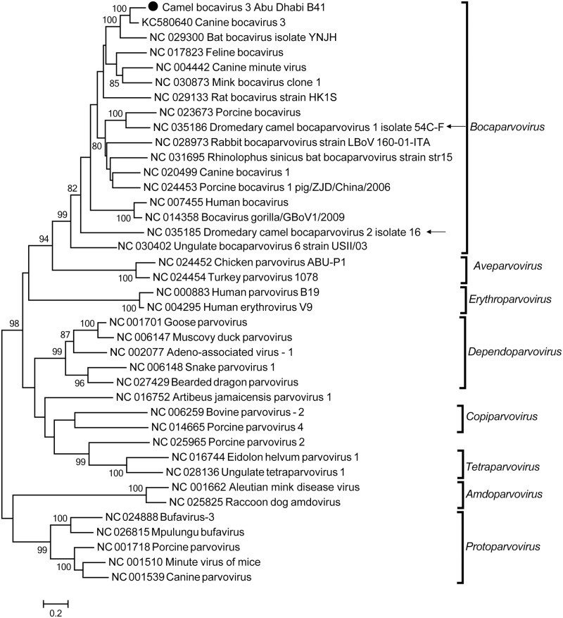 Fig 4