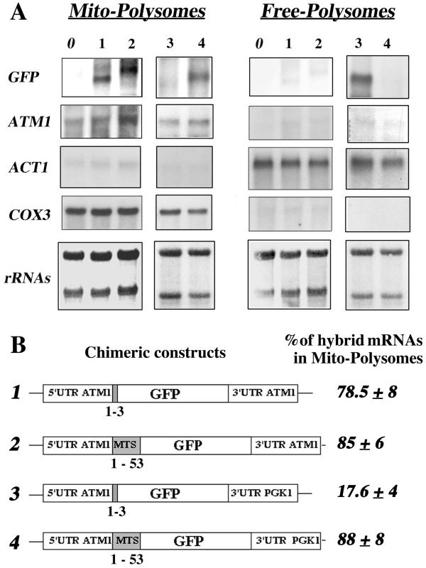 FIG. 4