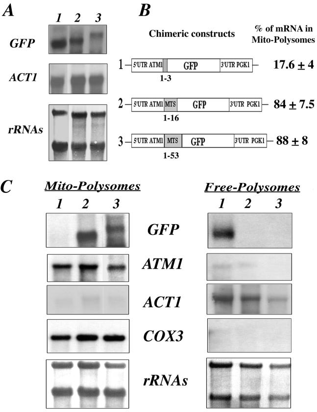 FIG. 5