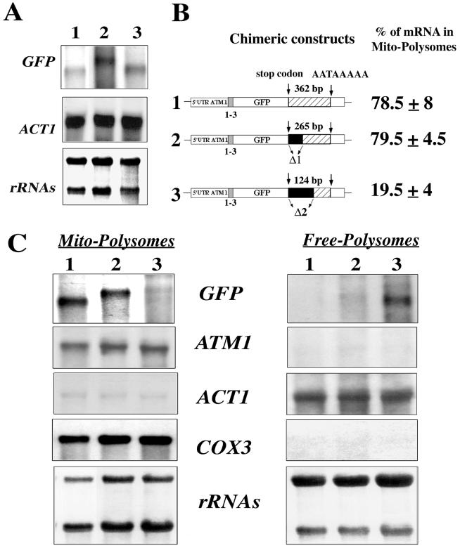 FIG. 6