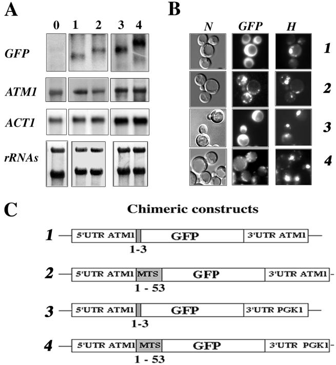 FIG. 3