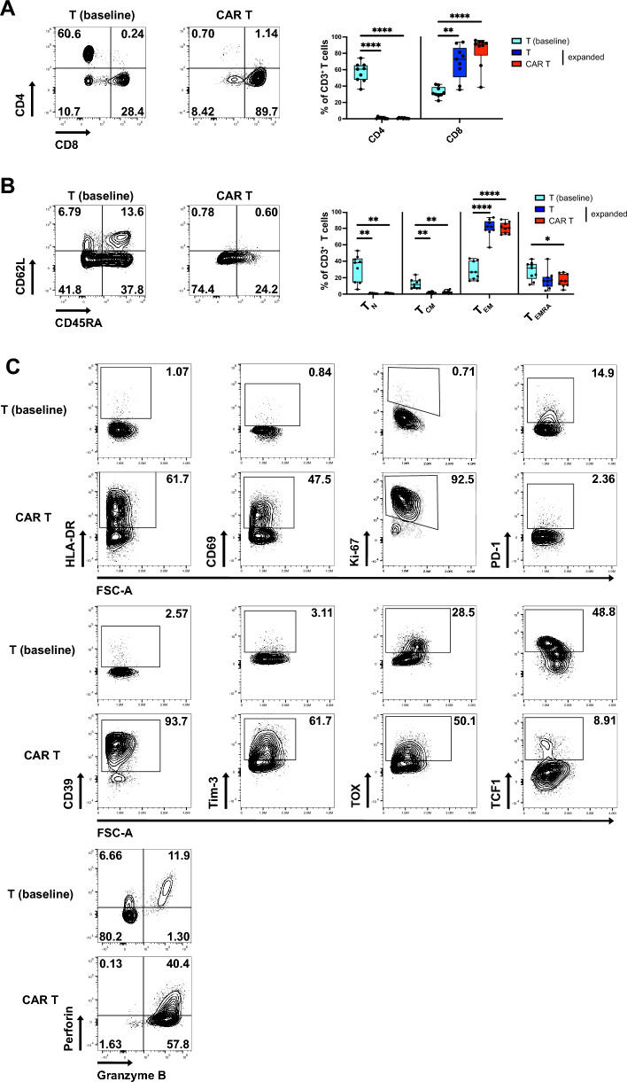 Fig. 2