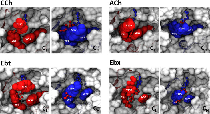 Figure 5—figure supplement 1.